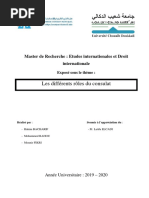 Master de Recherche sujet consulat ( EIDI M1)
