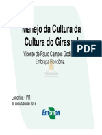 Vicente Paulo Campos Godinho Palestra PDF