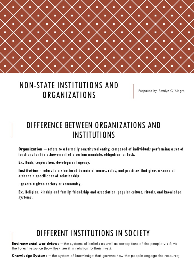 NonState Institutions and Organizations PDF International