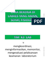 CARA KERJA DI LABKES yg aman slmt ergo