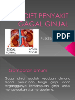 Gagal Ginjal dan Diet Rendah Protein