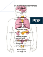 Practica Biologia 2