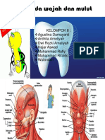 Otot Pada Wajah Dan Mulut
