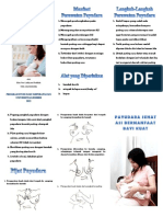 259361295-Leaflet-Perawatan-Payudara-pdf.pdf