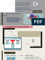 Tema 4 - La Célula