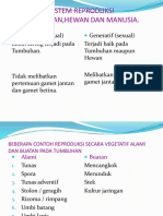 REPRODUKSI MANUSIA