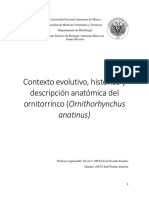 Contexto Evolutivo, Histórico y Descripción Anatómica Del Ornitorrinco (Ornithorhynchus Anatinus) 2.0