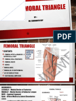 Femoral Triangle Anatomy and Contents