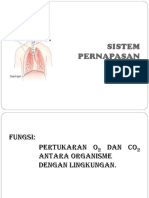 Respirasi PDF