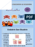 Fisiologi Endokrin & Eksokrin