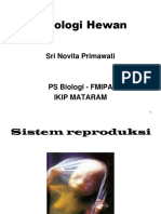 Sistem Reproduksi PDF