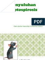 Penyuluhan Leptospirosis