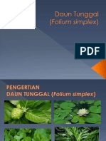 ppt folium simplex