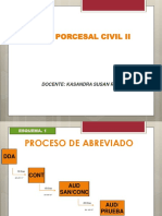 Derecho Procesal Civil II