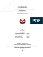 Isolasi Plasmid