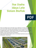 Analisa Usaha Budidaya Lele Sistem Bioflok