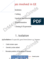 5 Stages Involved in Ge - Pps