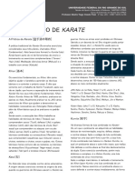 Modulo03_aula02_8kyu_TREINAMENTODEKARATE.pdf