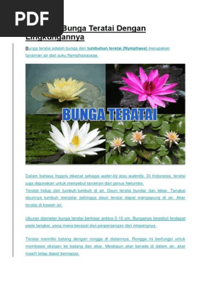 Teratai