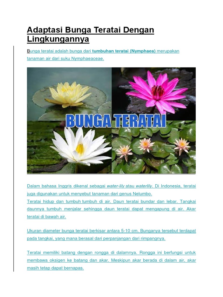 Teratai Pdf