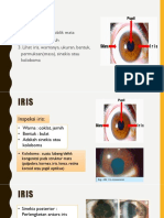 PF Mata Iris Pupil Lensa Badan Kaca