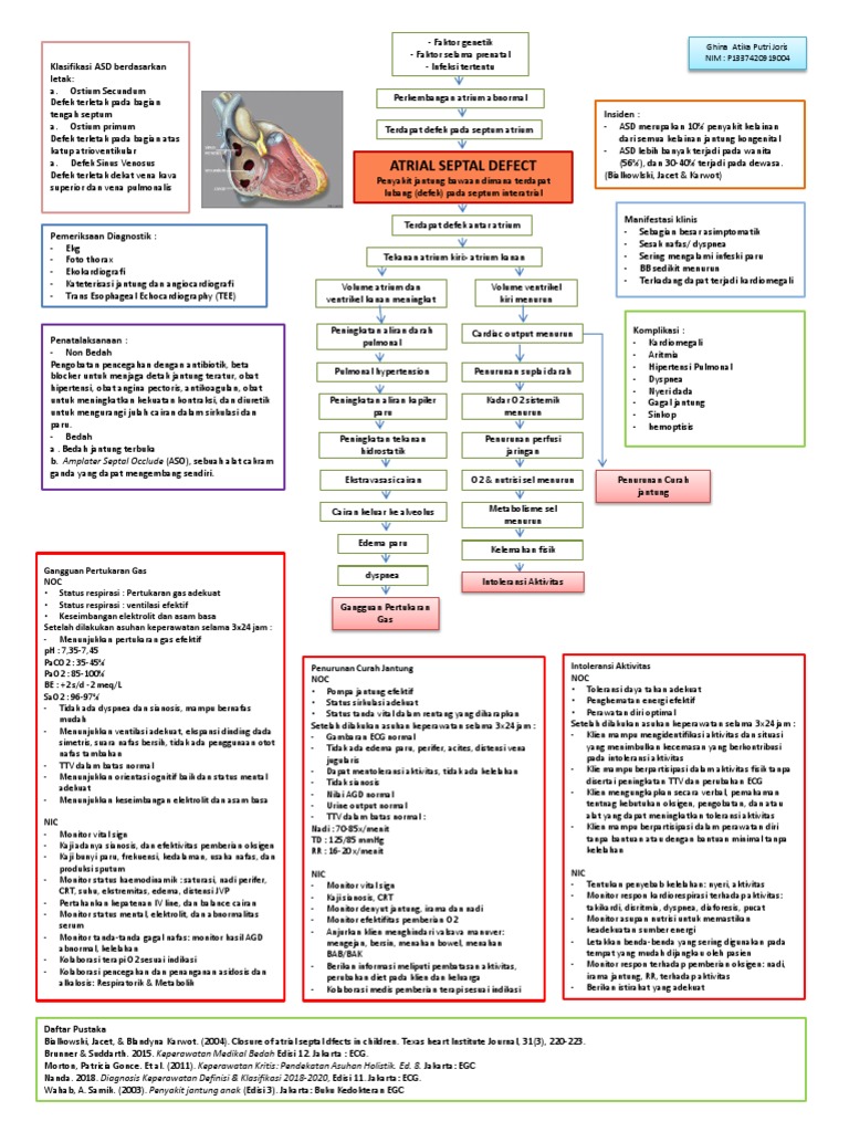 Klasifikasi dan Penanganan ASD Anak | PDF