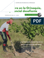 Agricultura_en_la_Orinoquia_un_potencial_desafiante._Comunicaciones.pdf