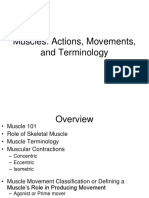 Muscles ACTIONS ppt.ppt