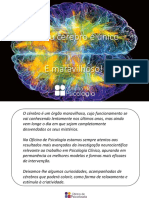 o-meu-cerebro-e-unico-e-maravilhoso.pdf