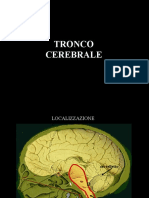 tronco cerebrale