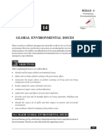 14_Global Environmental Issues.pdf