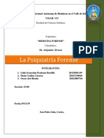 Informe Psiquiatria Forense Final