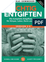 Richtig Entgiften 2.0 PDF