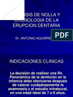 Analisis de Nolla y Cronologia de La Erupcion