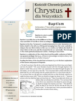 Newsletter 12.2010