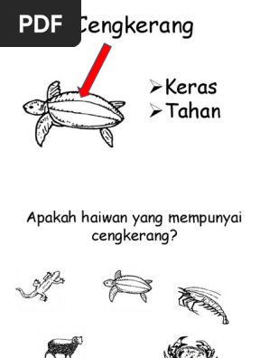 Haiwan Dengan Cengkerang Hobi 2021