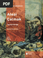 Galina Serebryakova - Ateşi Çalmak 4