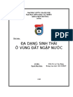 TIỂU LUẬN ĐẤT NGẬP NƯỚC