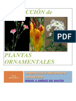PROYECTO ABP Elaboracion de Plantas Ornamentales