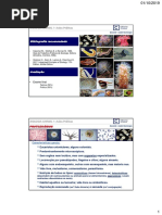 Protistas  Espongiários