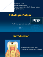 Patología pulpar: irritantes, respuestas y diagnóstico