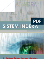Sistem Indra