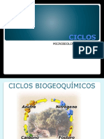 Ciclo Biogeoquímicos.ppt