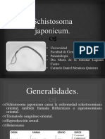 Schistosoma Japonicum.