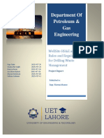 Wellsite Health Safety Enviroment ( (Project Report) PDF