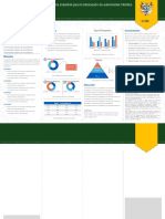 Estructura Del Poster - Ingenierias