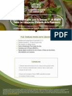 (PDF) Semana 11 Pautas Alimentarias (Para Todas Las Categorías)
