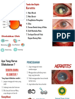 Leaflet Keratitis