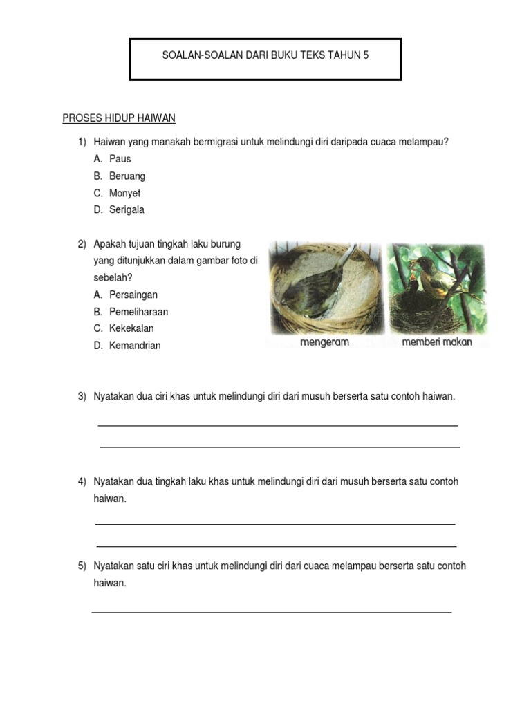 Soalan Buku Teks Tahun 5 Pdf