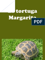 La Tortuga Margarita